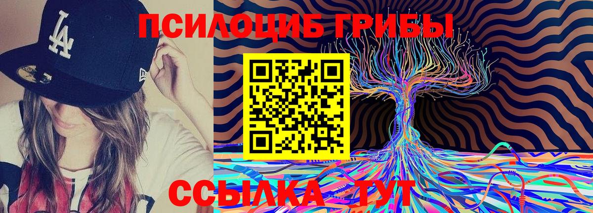 Галлюциногенные грибы мицелий  Галлюциногенные грибы Psilocybine cubensis  Котлас  Вход с VPN 